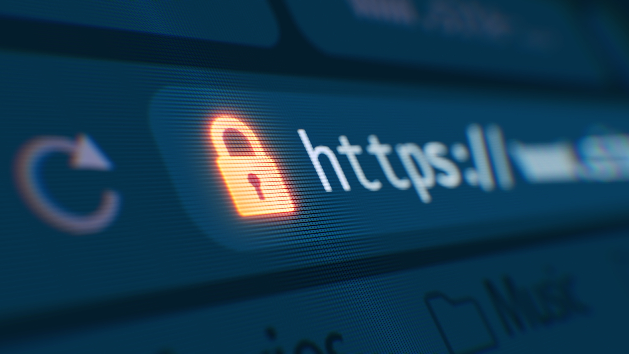 What is website security?